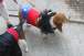 resIMG_20120129_1494.JPG